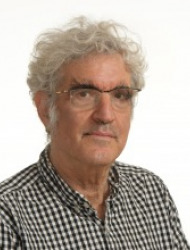 Alon Harel