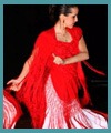 flamencor1