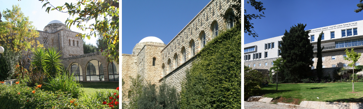 Faculty of Law